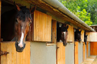 free Bewley Common stable construction quotes